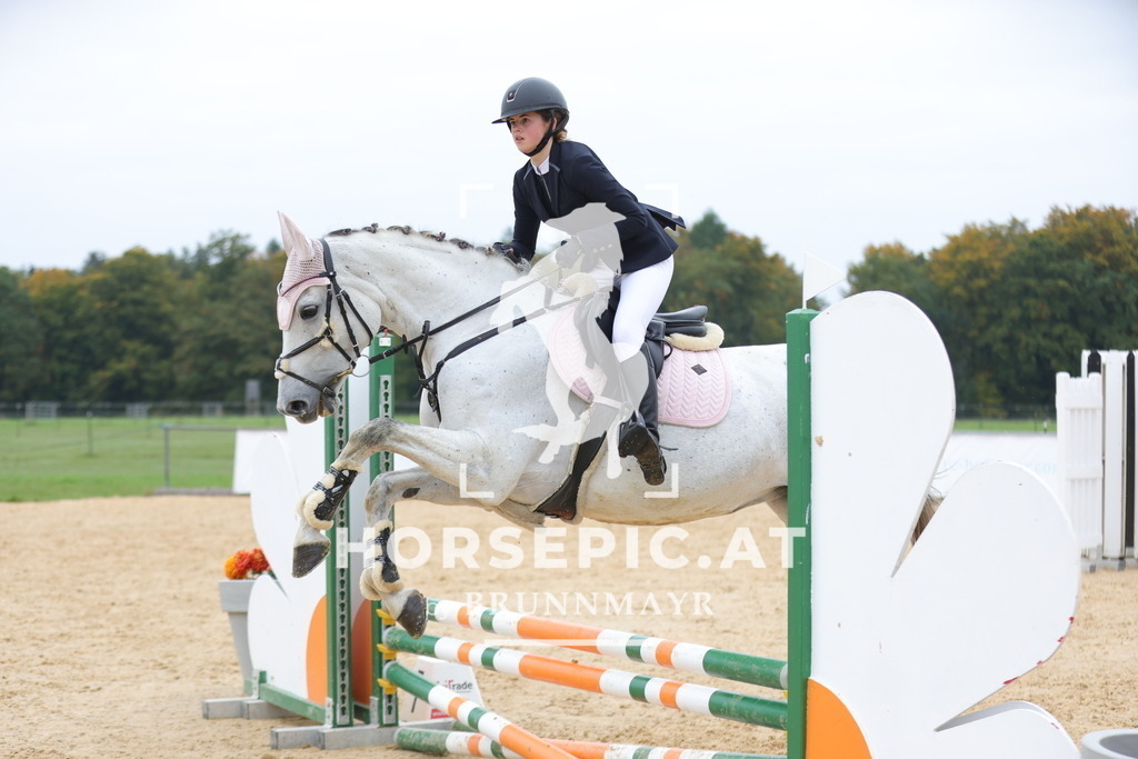 0P6A1293 | Willkommen bei Brunnmayr - Design & Fotografie – Ihrem Spezialisten für Reitturniere und Pferdeveranstaltungen in Oberösterreich, Salzburg und Bayern! Seit über 17 Jahren sind wir leidenschaftlich dabei.
