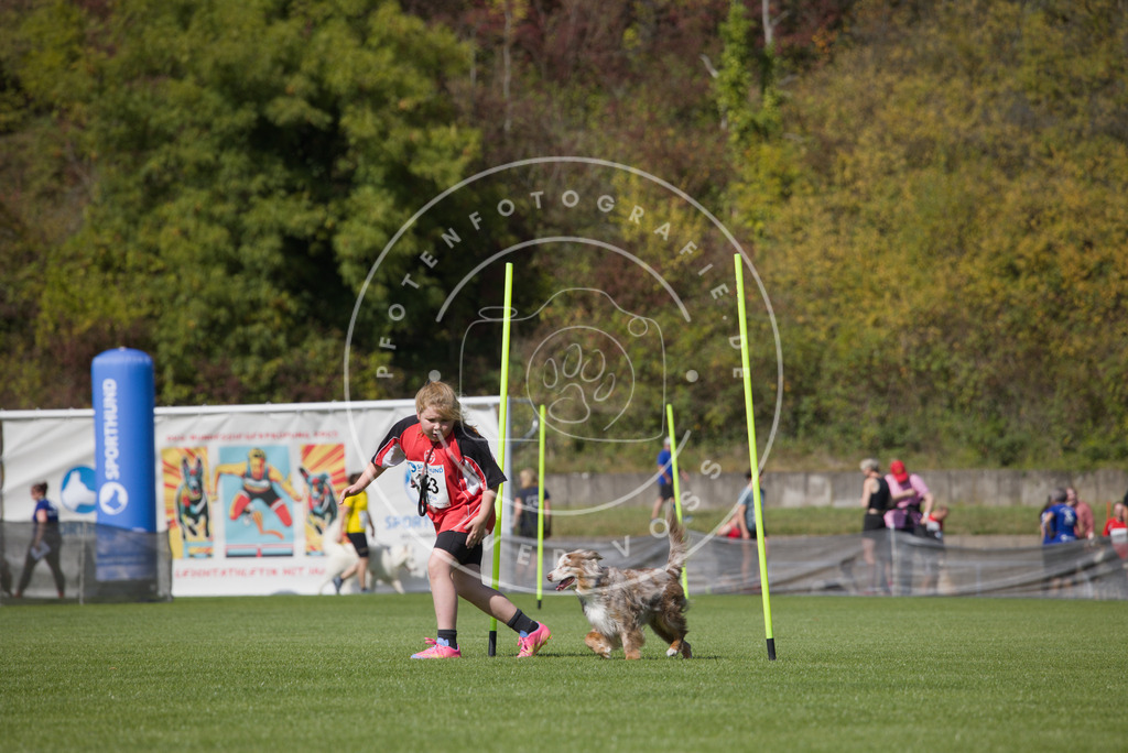 0L8A2829 | Hundefotografie, Tierfotograf, Pfotenfotografie, Fotoshooting Hund, Hunde Portrait, Hundesport, Hundeportraits, Heideshooting, Hunde, Sportfotograf, Hundefotograf, Turnierhundsport, THS,  - Realisiert mit Pictrs.com