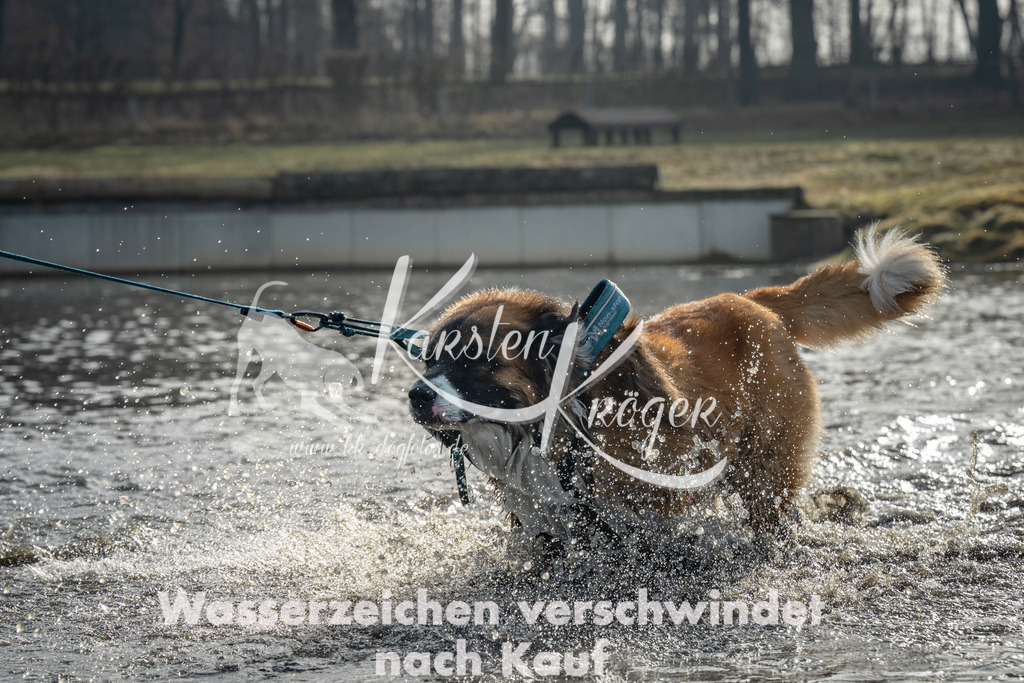 0922_ZZ91502 | kk-dogfotos