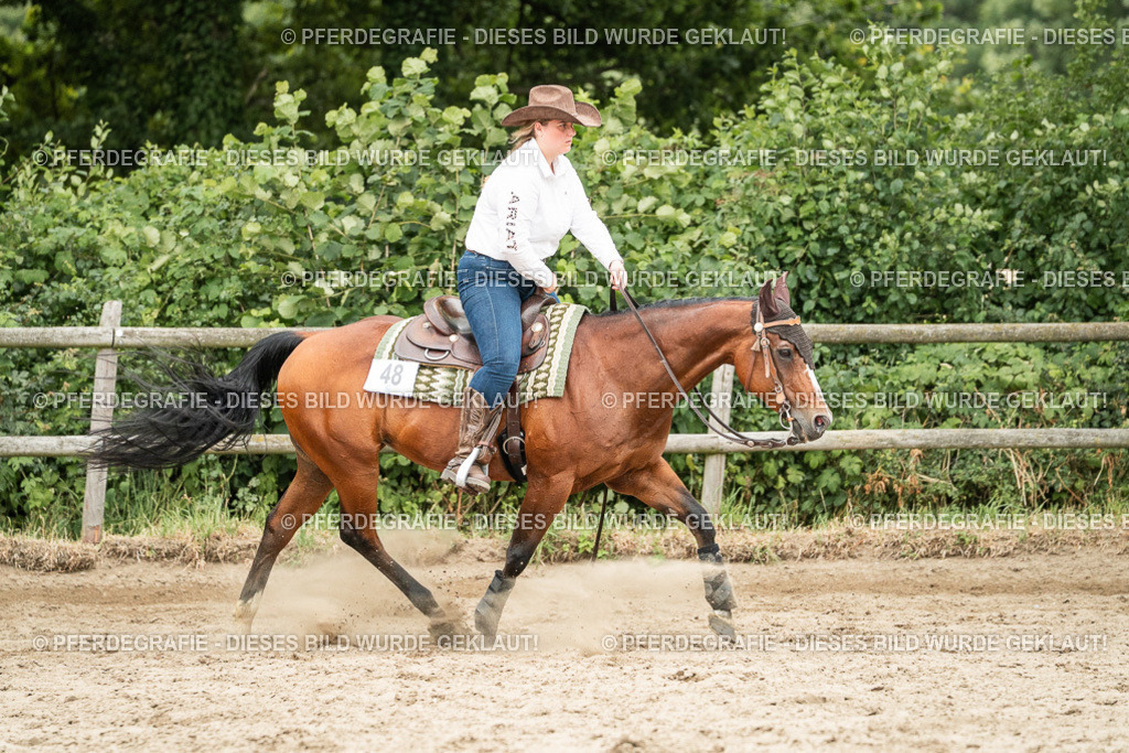 DSC04394 | Pferdegrafie