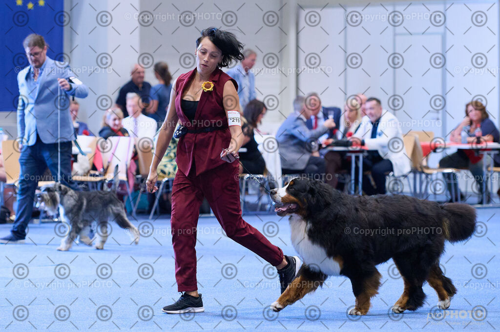 202406_ÖKV-IHA-Tulln24_DSC_3827 | proPHOTO - Realisiert mit Pictrs.com