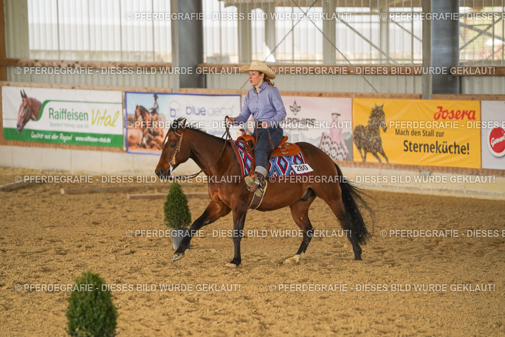 DSC03269 | Pferdegrafie