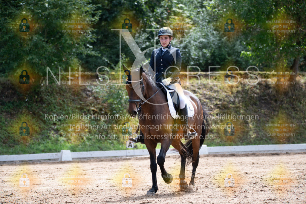 DSC_4605 | Nils Cress - Fotografie - Realisiert mit Pictrs.com