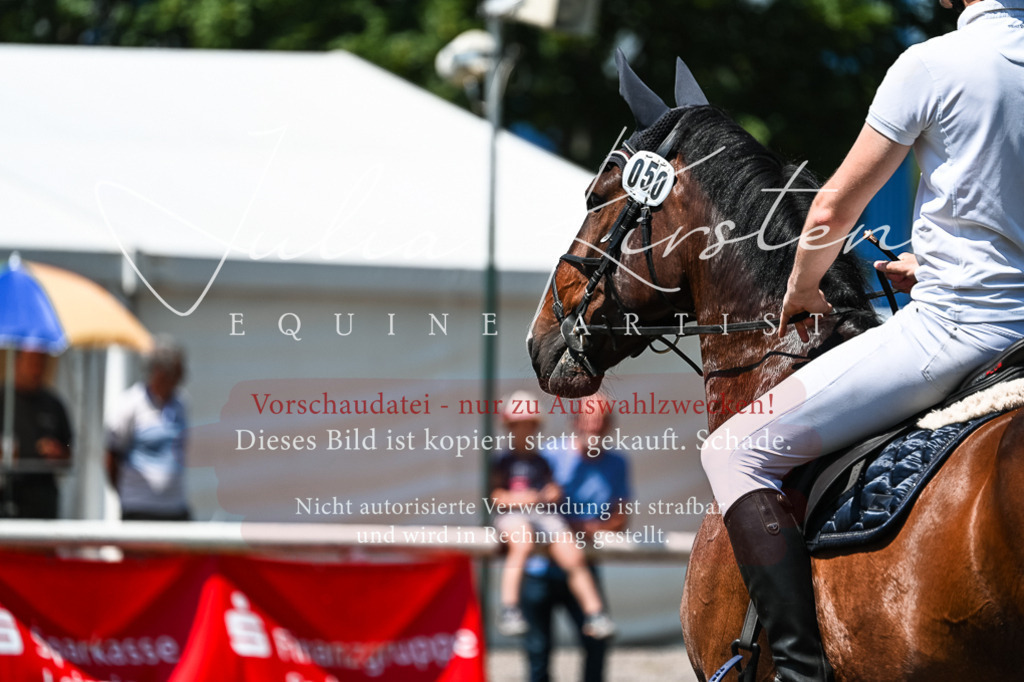 DSC_0454 | Pferde- und Turnierfotografie in Westsachsen. Pferdeportraits, Auftragszeichnungen und intuitive Kunst.