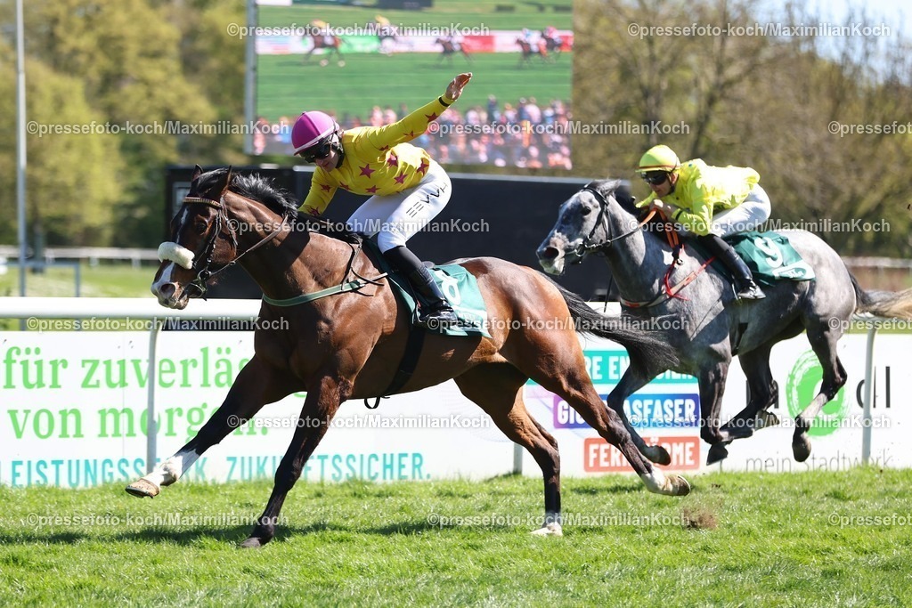 MH06042504006 | Company Keeping siegt unter Lilli-Marie Engels am 06.04.2025 Renntag in Mülheim a.d. Ruhr. Copyright by Marc Ruehl - Veroeffentlichung nur gegen Honorar (zzgl.MwSt), Namensnennung und Beleg, Bank Routing Number: BIC GENODED1PAF, Bank Account Number: IBAN DE04 3706 2600 1201 6180 17, Steuer-Nr.: 203/5266/0306, Ust_Id_Nr.: De 122081417, Zur Gaulshuette 29, 50181 Bedburg, Phone: +49-(0)2272-83351, www.marcruehl.com, info@marcruehl.com, No Model Release, Abtretung von Persoenlichkeitsrechten der abgebildeten Person/Personen liegen nicht vor. Speichern in Bilddatenbanken oder Vervielfaeltigung ist ohne schriftliche Genehmigung nicht gestattet.