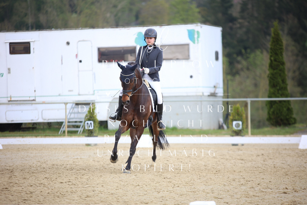 IMGT7244 | pl-fotografie