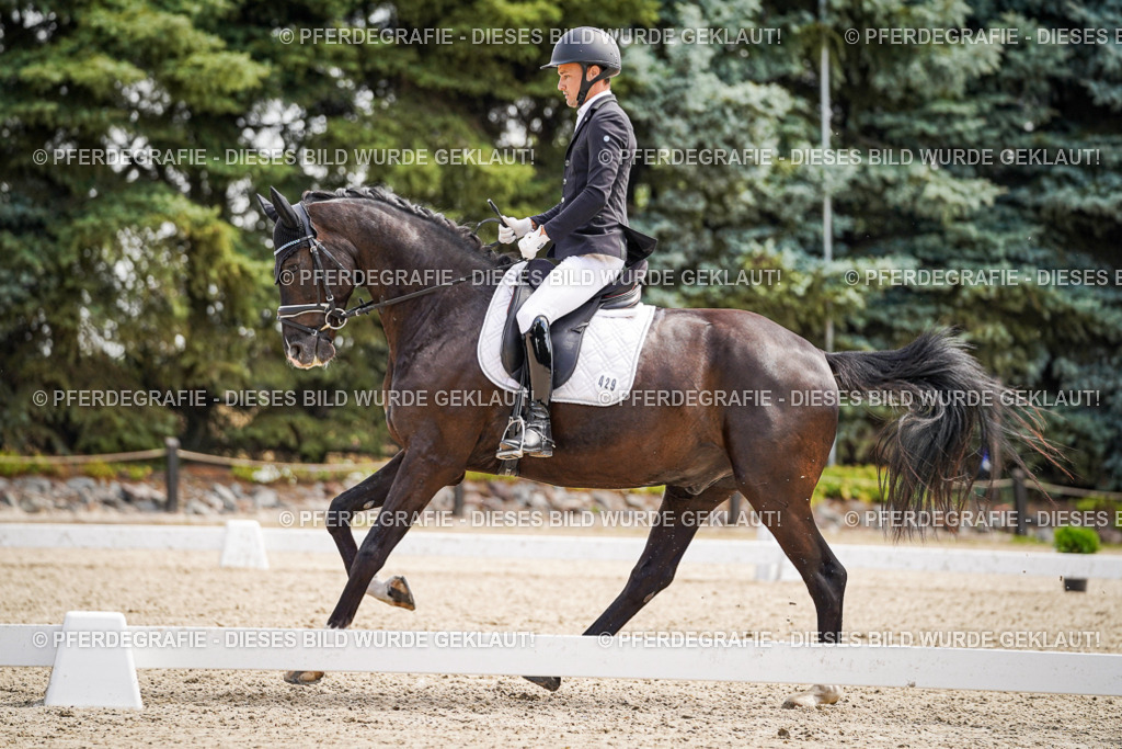 DSC00149 | Pferdegrafie