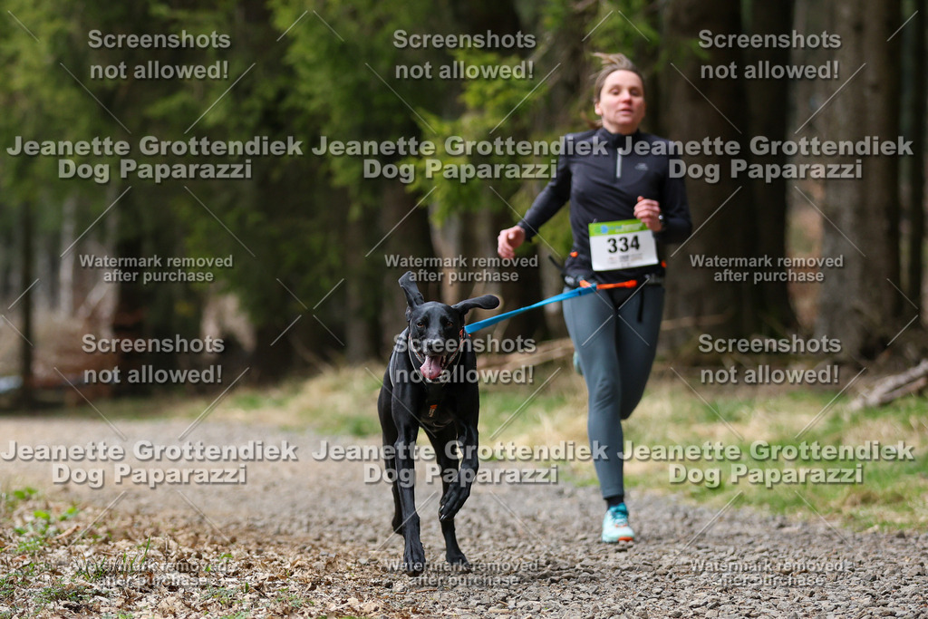 Dog Paparazzi - VCC26-485 | Dog Paparazzi Jeanette Grottendiek Fotografie & Videografie - Realisiert mit Pictrs.com