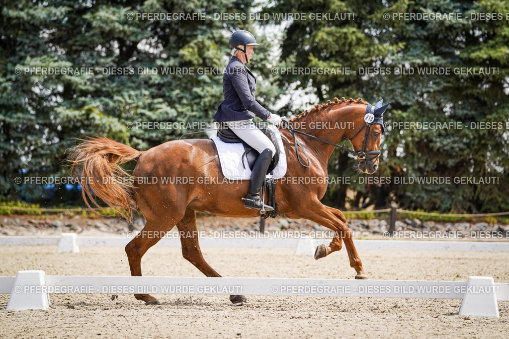 DSC00512 | Pferdegrafie