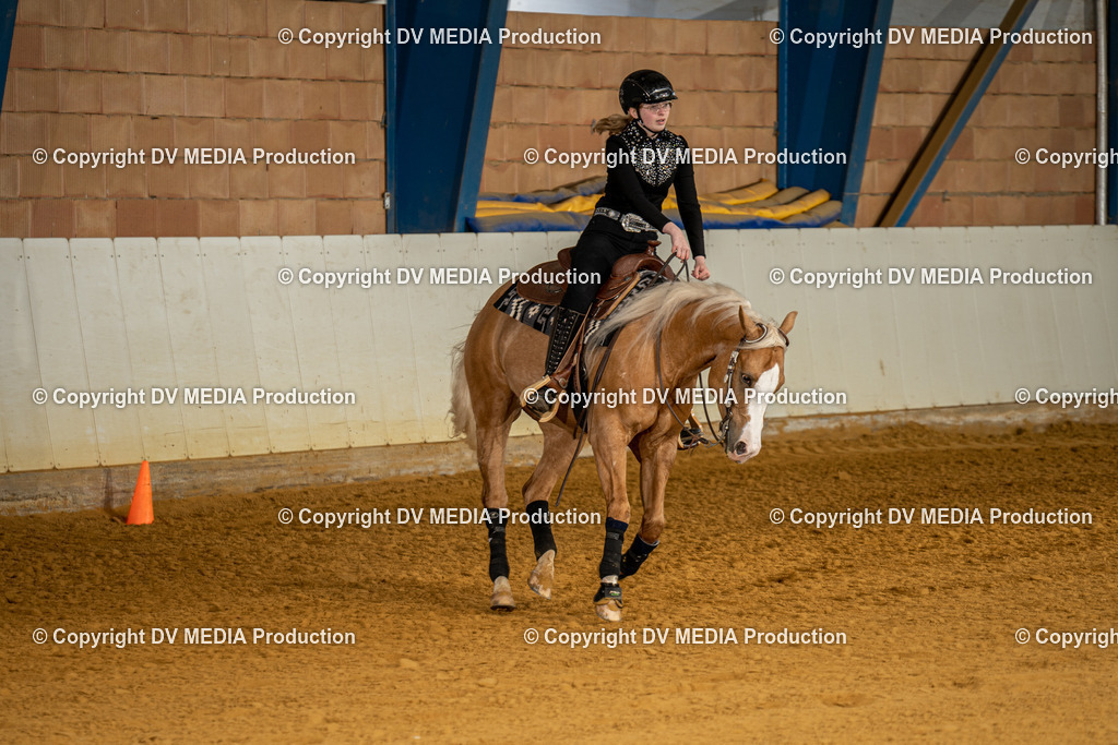 MIT00830 | dv-media-shop - Realisiert mit Pictrs.com