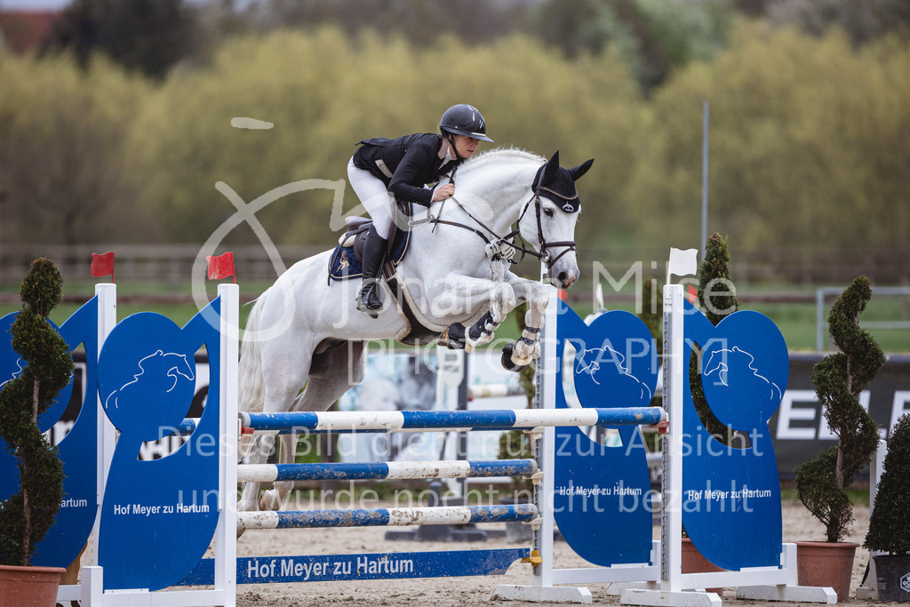 250417_Springpferde-L1-217 | Deine schönsten Turniermomente als professionelle Fotos! Entdecke hochwertige Pferdesport-Fotografie im Online-Shop. Jetzt Fotos finden & bestellen!