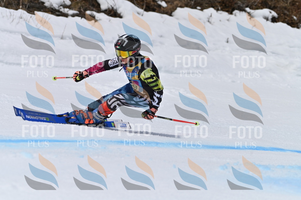 BGV_4536 | holidayphoto