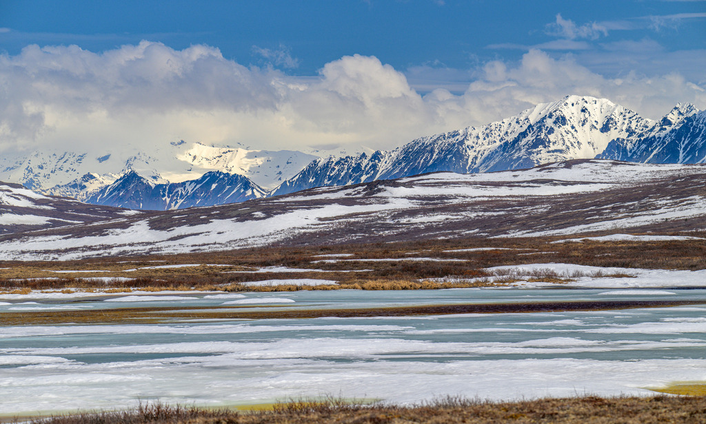 2025-141 | Eine Fahrt auf dem 134 Meilen langen Denali Highway, der vielleicht schönsten Panoramastraße Nordamerikas, eröffnet grandiose Ausblicke auf die Berge und Ausläufer der Alaska Range. - Realisiert mit Pictrs.com