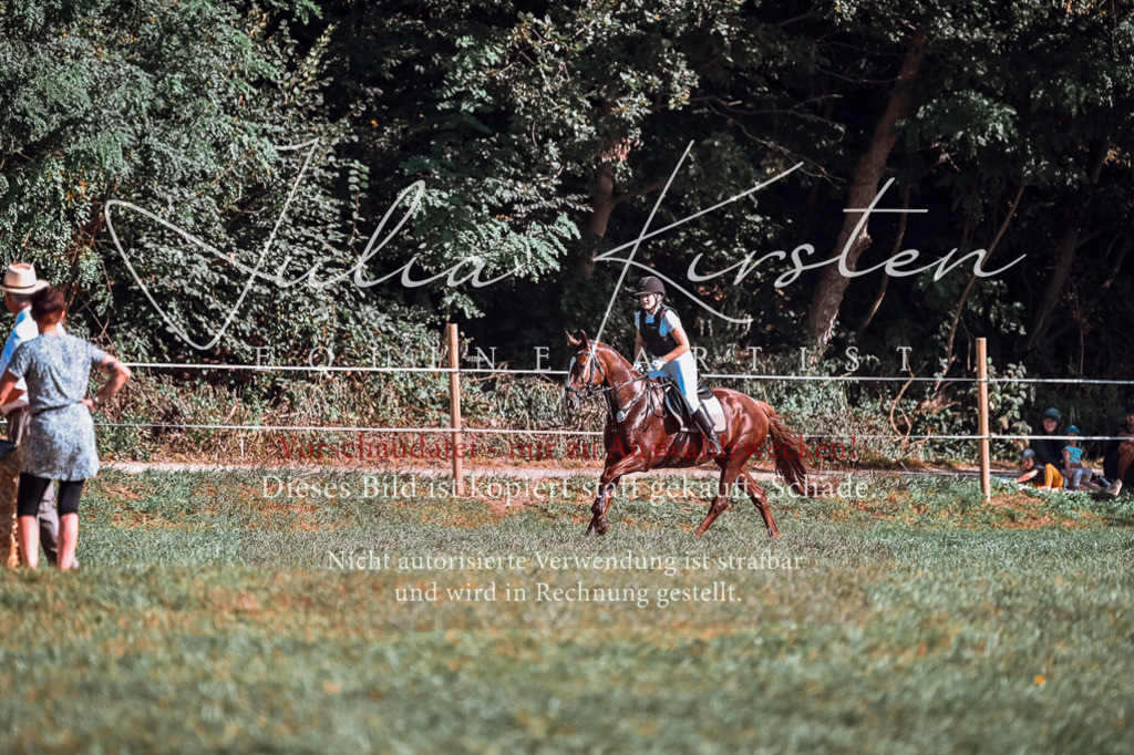 DSC_0766 | Pferde- und Turnierfotografie in Westsachsen. Pferdeportraits, Auftragszeichnungen und intuitive Kunst.