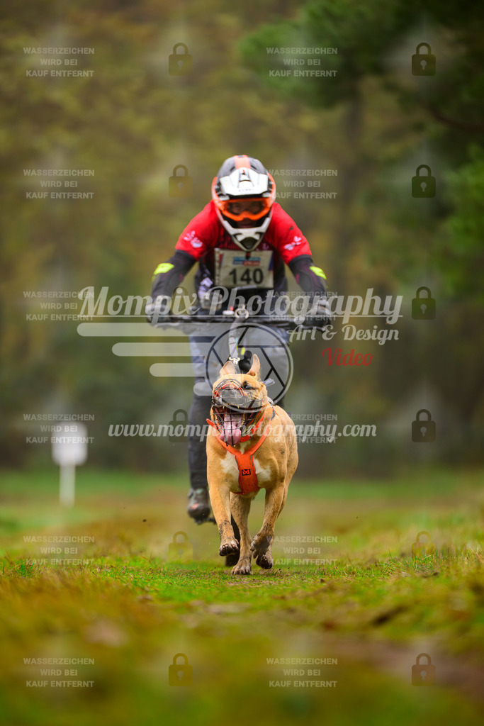 MompixPhotography_Bischwiller2025_Bike-108 | mompixphotography