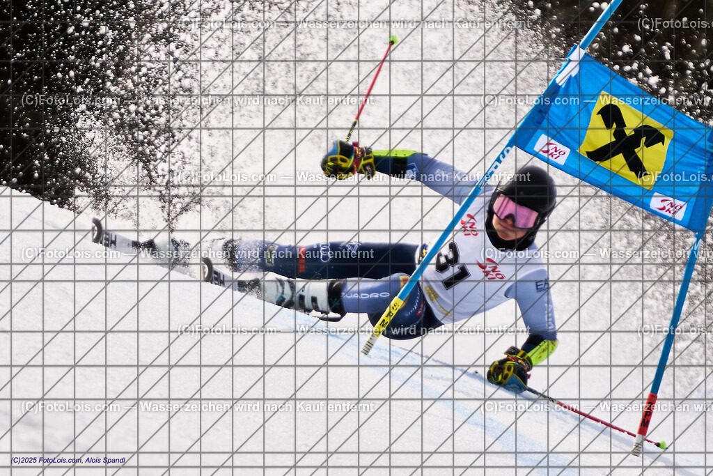 ALP8170_Herrn-FIS-GS-II_Lackenhof-WY_TSCHEMERNJAK Lito | Internationaler FIS GiantSlalom der Herrn auf der Distelpiste in Lackenhof am Di 11. März 2025.  Österreich, LSV-NÖ, Sportunion Waidhofen/Ybbs (2035).