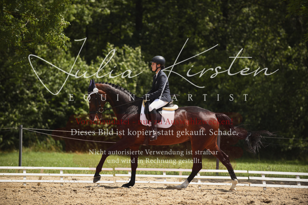 DSC_1519 | Pferde- und Turnierfotografie in Westsachsen. Pferdeportraits, Auftragszeichnungen und intuitive Kunst.