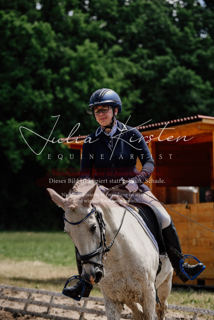 DSC_1801 | Pferde- und Turnierfotografie in Westsachsen. Pferdeportraits, Auftragszeichnungen und intuitive Kunst.