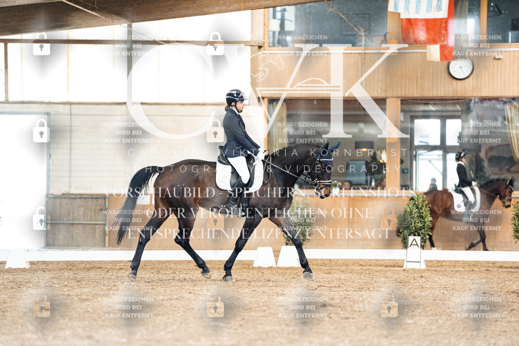 CK901410 | Turnierfotografie Pferdefotografie Trier Rheinland-Pfalz Pferdesport Reitsport Tierfotografie Sportfotografie Pferdevideo Pferdevideografie Equestrianvideography equestrianphotography  - Realisiert mit Pictrs.com