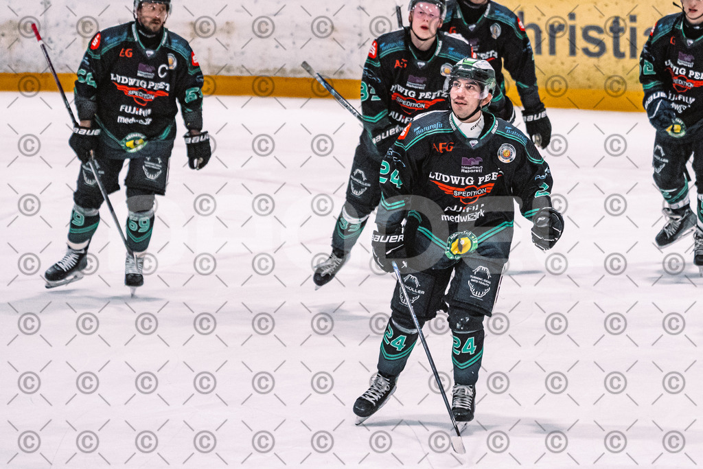 Alligators_vs_Selb_27_02_2026-22 | Höchstadt Alligators Fotogalerie: Eishockey-Action aus Franken. Professionelle Spielfotos, Portraits & Stadionbilder zum Download. Jetzt entdecken! - Realisiert mit Pictrs.com