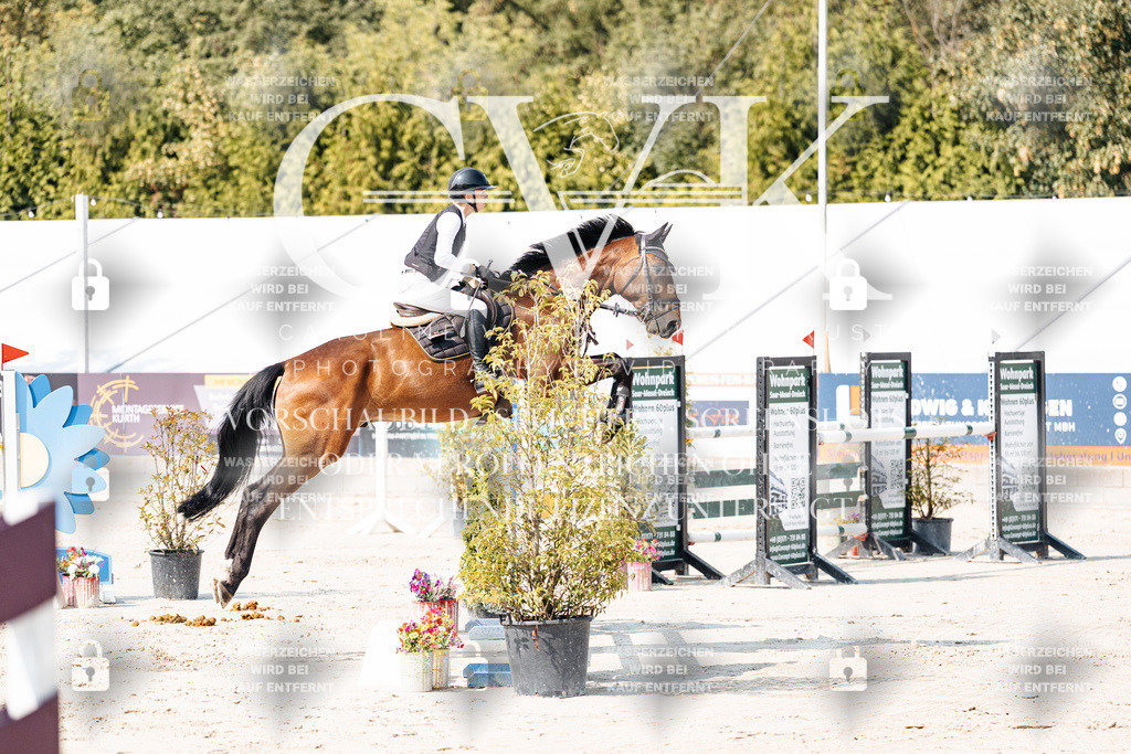 CK902187 | Turnierfotografie Pferdefotografie Trier Rheinland-Pfalz Pferdesport Reitsport Tierfotografie Sportfotografie Pferdevideo Pferdevideografie Equestrianvideography equestrianphotography  - Realisiert mit Pictrs.com