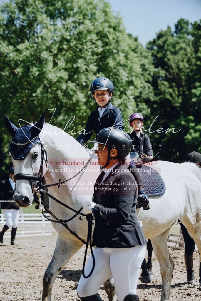 DSC_2111 | Pferde- und Turnierfotografie in Westsachsen. Pferdeportraits, Auftragszeichnungen und intuitive Kunst.