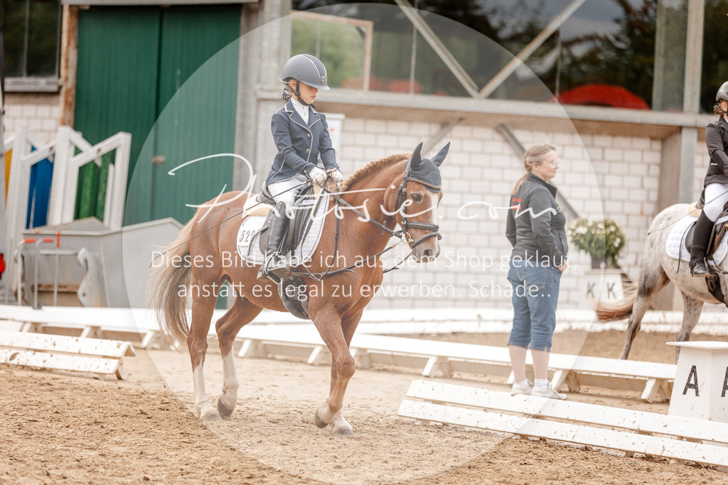 3I6A8415 | Stimmungsvolle Portraits und Reitsportfotografie im Ruhrgebiet und im Münsterland.

Pferdefotografie, Hundefotografie, Tierfotografie, Reportagen, Portraits von Tier und Mensch, Turnierfotografie in Bochum, Recklinghausen, Marl, Haltern am See, Dülmen.. - Realisiert mit Pictrs.com