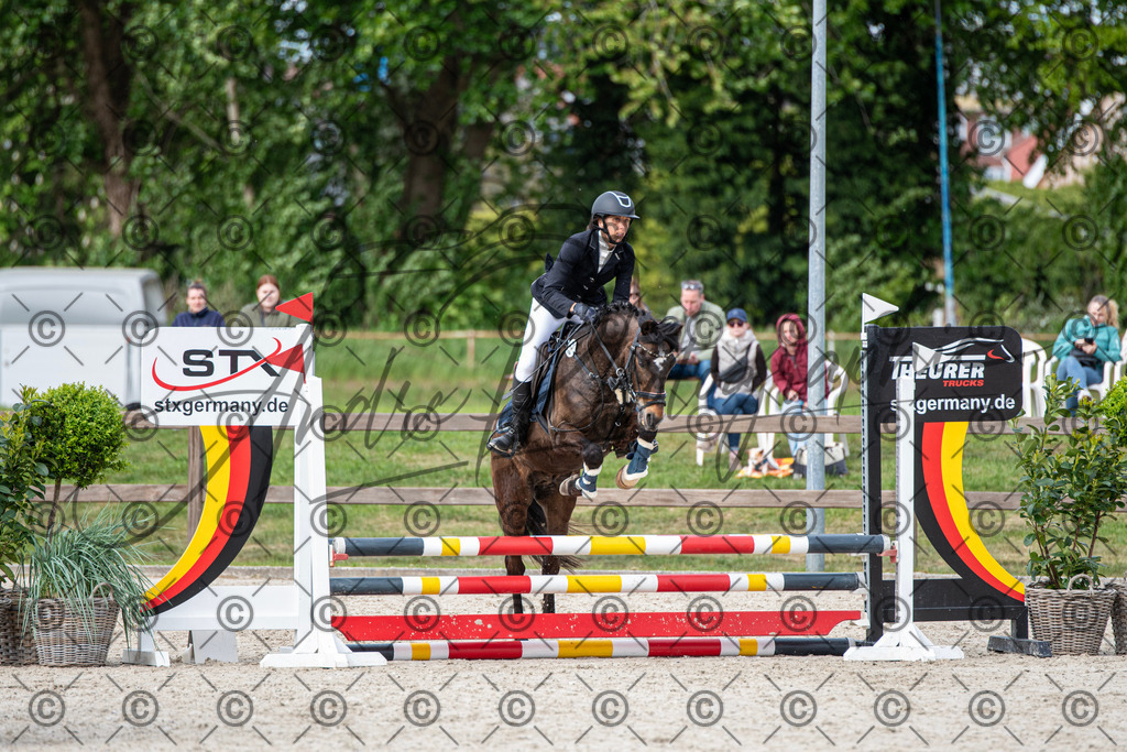 KPT_6604 | andre_photographic