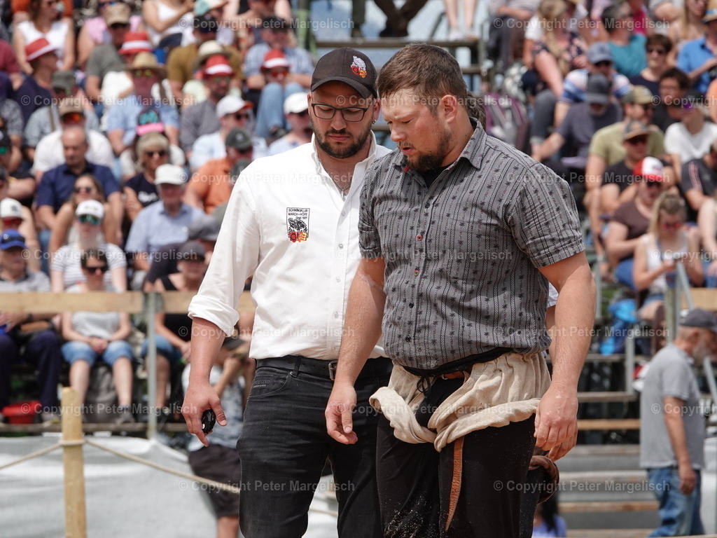 DSC07451 | Schwingen - Realisiert mit Pictrs.com