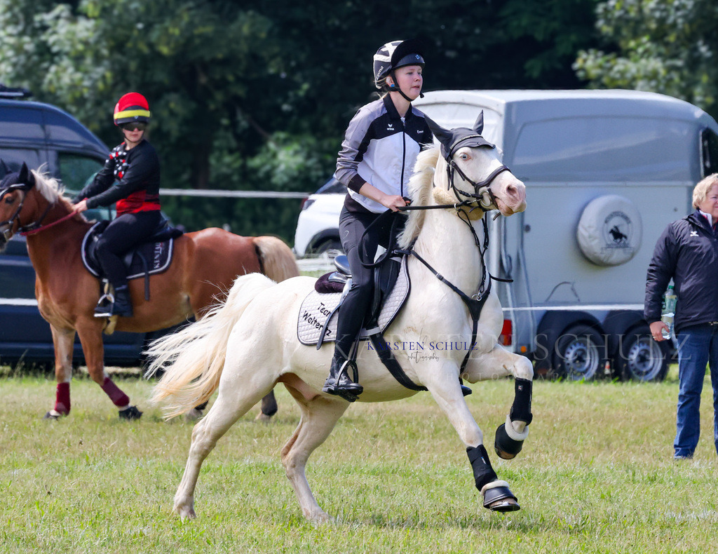1B3A2212 | Reitsport Reiten
