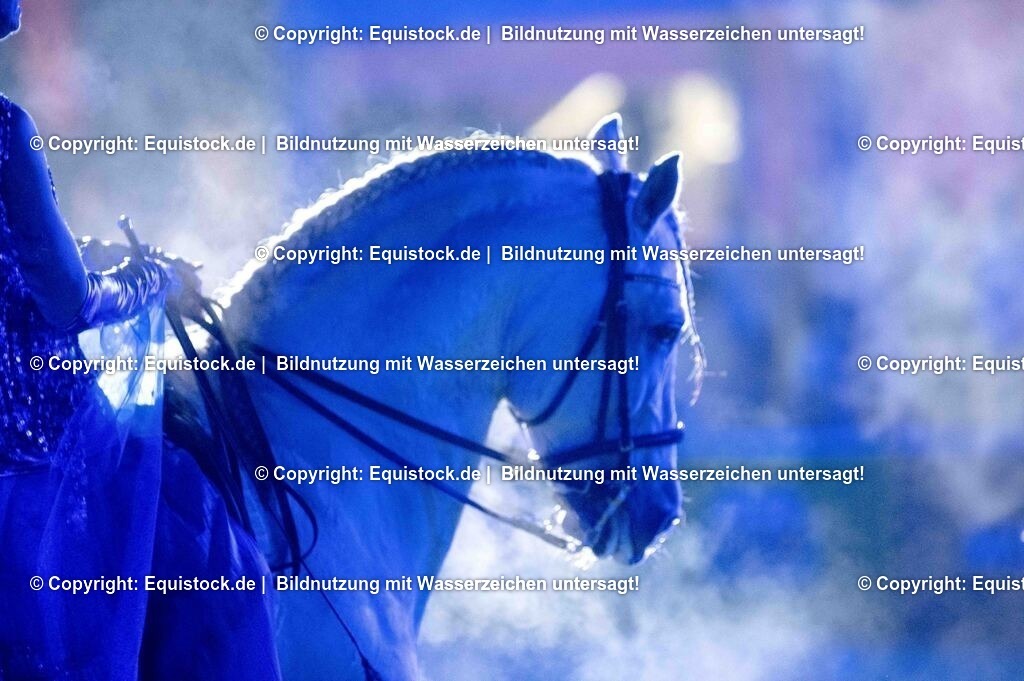 20250606_Lange-Pferdenacht_1598 | Foto: Thomas Hartig