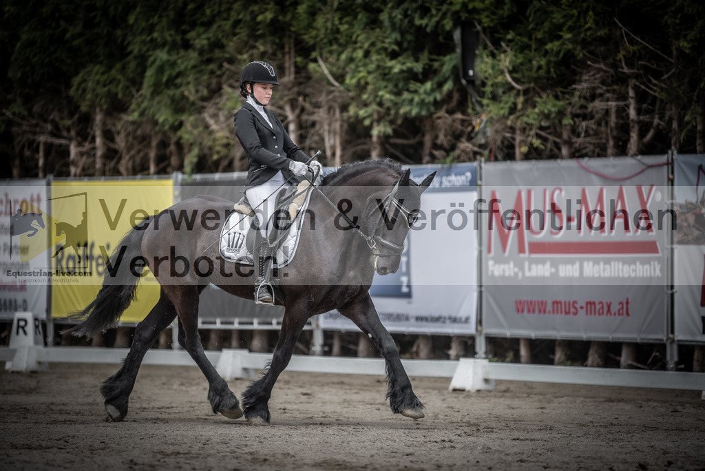 DSC_3155 | equestrian-live-com