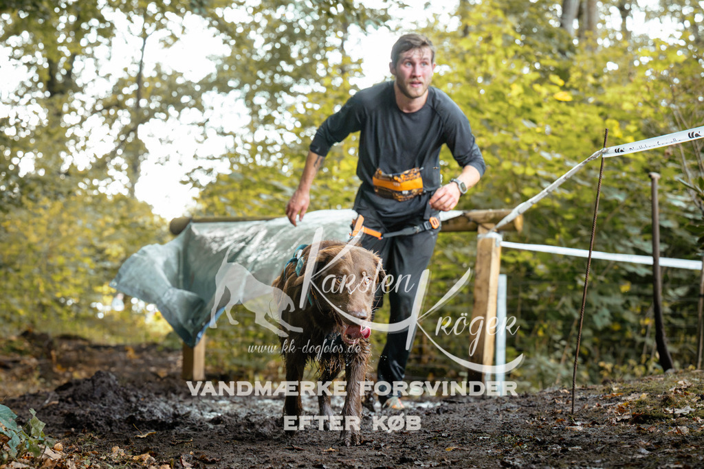 1409DZ6_1123Z6 | kk-dogfotos