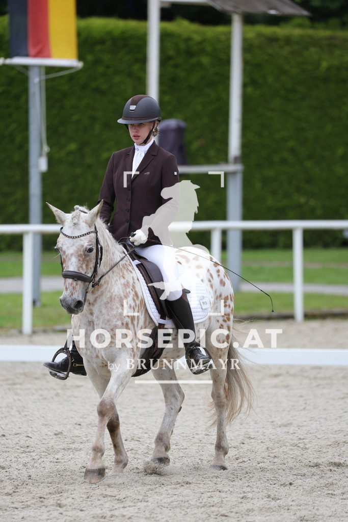0P6A5553 | Willkommen bei Brunnmayr - Design & Fotografie – Ihrem Spezialisten für Reitturniere und Pferdeveranstaltungen in Oberösterreich, Salzburg und Bayern! Seit über 17 Jahren sind wir leidenschaftlich dabei.