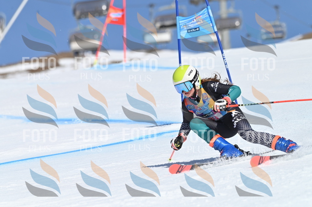 BGV_9220 | holidayphoto