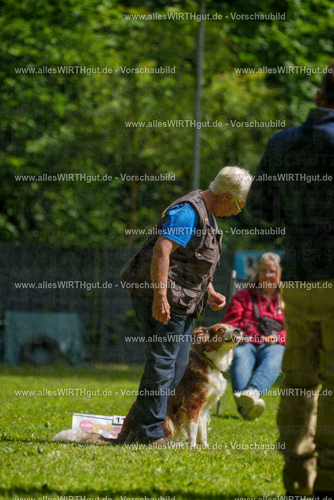 @allesWIRTHgut_Tierfotografie - www.allesWIRTHgut.de - 100637-7R508060 | Professionelle Tierfotografie in Mönchengladbach von Daniel Wirth (allesWIRTHgut). Liebevolle & natürliche Bilder von Hunden & Katzen für unvergessliche Erinnerungen.