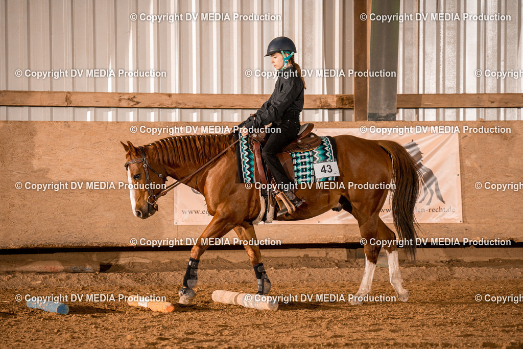 BAL03045 | dv-media-shop - Realisiert mit Pictrs.com