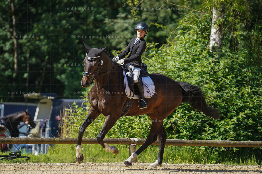 20240706-FAH04808 | Grafing Turnierfotos, Reitverein Ebersberg, Turnierfotografen Bayern, reitsportbilder, Pferdefotograf, reitsportfotograf, Sportbilder, Reitsportfotografie, Fotoagentur Herrmann, Turnierfotograf