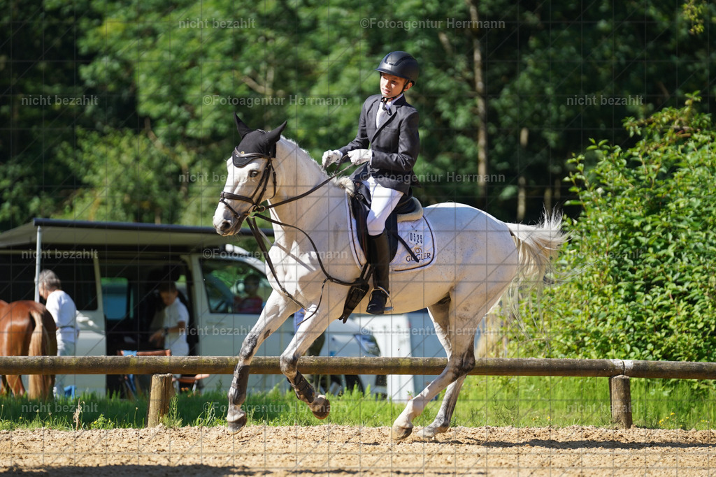 20240706-FAH04667 | Grafing Turnierfotos, Reitverein Ebersberg, Turnierfotografen Bayern, reitsportbilder, Pferdefotograf, reitsportfotograf, Sportbilder, Reitsportfotografie, Fotoagentur Herrmann, Turnierfotograf
