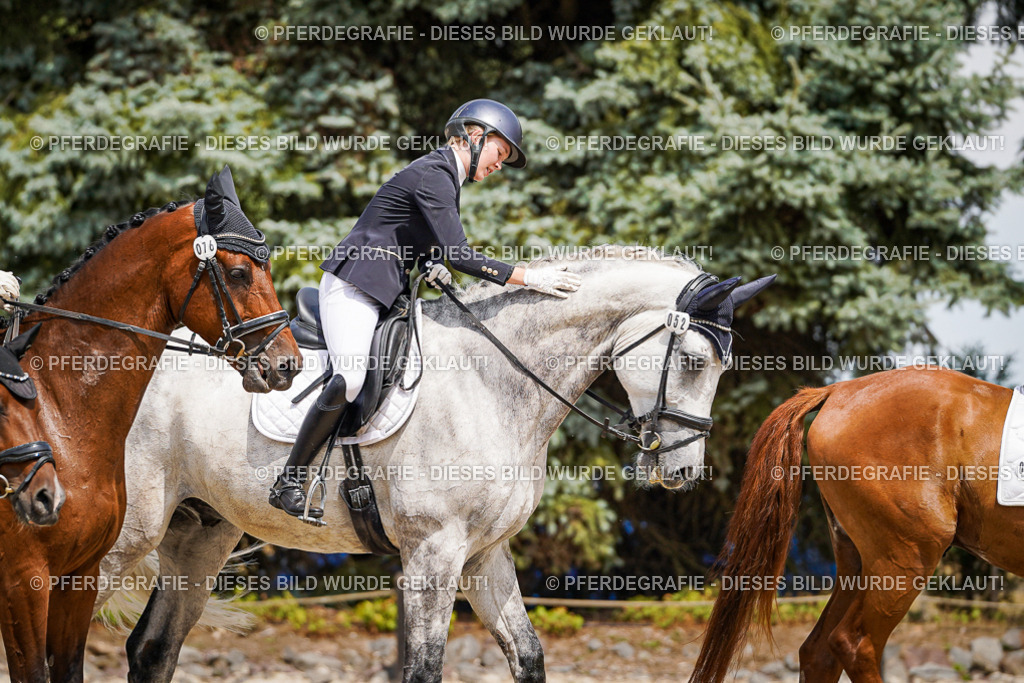 DSC02523 | Pferdegrafie