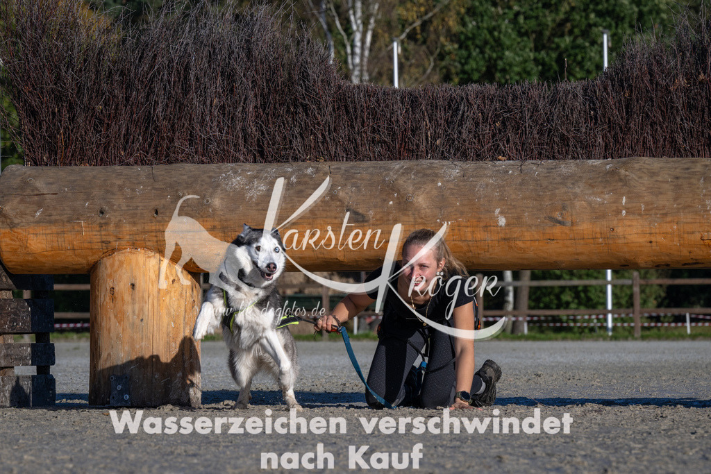 1022-_ZZ91023 | kk-dogfotos