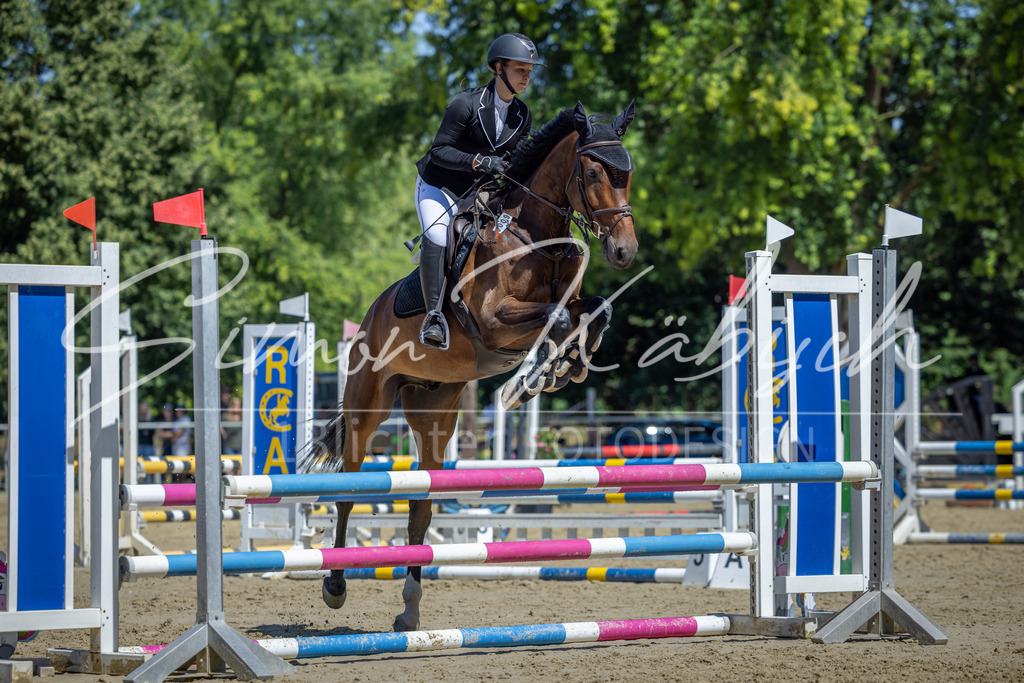 20260704-_3LI7895 | Tierfotografie Pferde, Hunde, Katzen, Haustiere.
Turnierfotografie Reitturniere, Reiten, Springreiten, Dressur in Hanau, dem Main-Kinzig-Kreis und dem Rhein-Main- Gebiet um Frankfurt