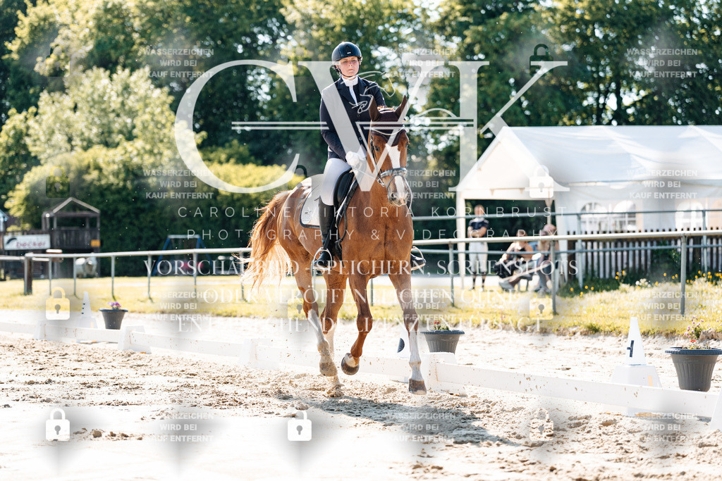 CK909332 | Turnierfotografie Pferdefotografie Trier Rheinland-Pfalz Pferdesport Reitsport Tierfotografie Sportfotografie Pferdevideo Pferdevideografie Equestrianvideography equestrianphotography  - Realisiert mit Pictrs.com
