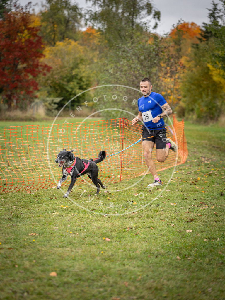 Pfotenfotografie_DV3A2933 | Hundefotografie, Tierfotograf, Pfotenfotografie, Fotoshooting Hund, Hunde Portrait, Hundesport, Hundeportraits, Heideshooting, Hunde, Sportfotograf, Hundefotograf, Turnierhundsport, THS,  - Realisiert mit Pictrs.com