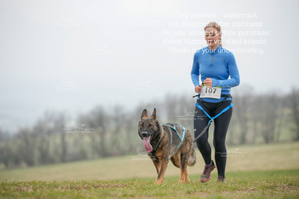 Canixlong-413 | stephaniefillaphotographie - Realisiert mit Pictrs.com