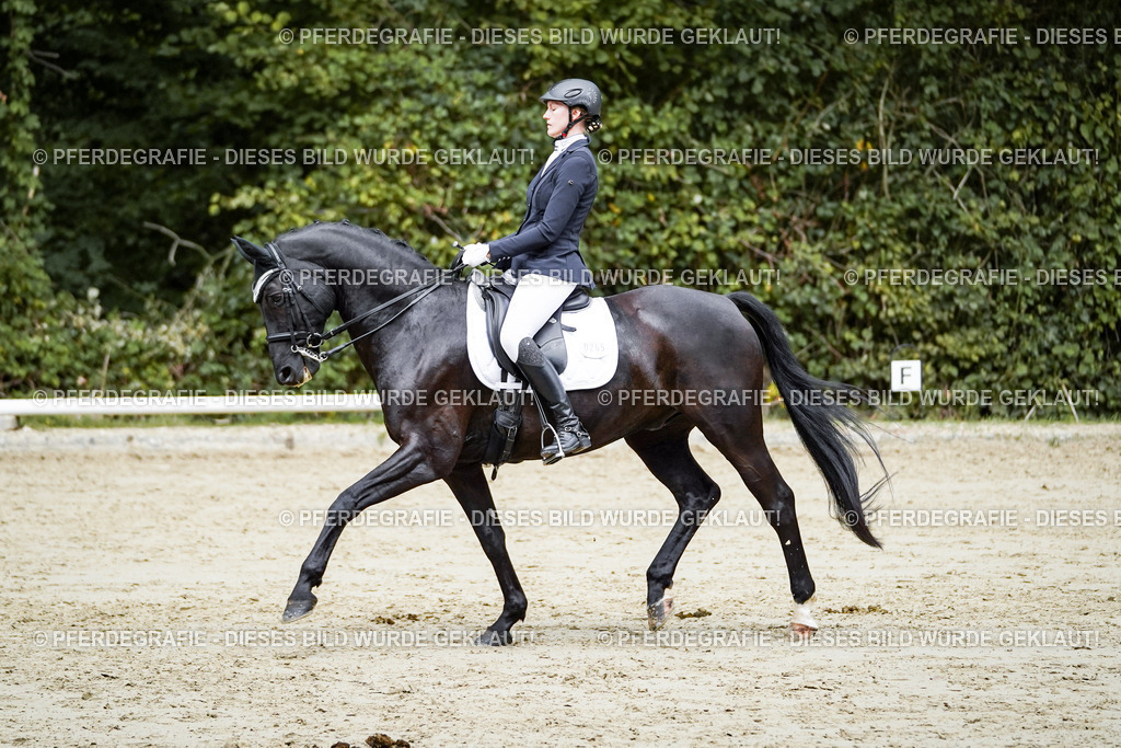 DSC09987 | Pferdegrafie