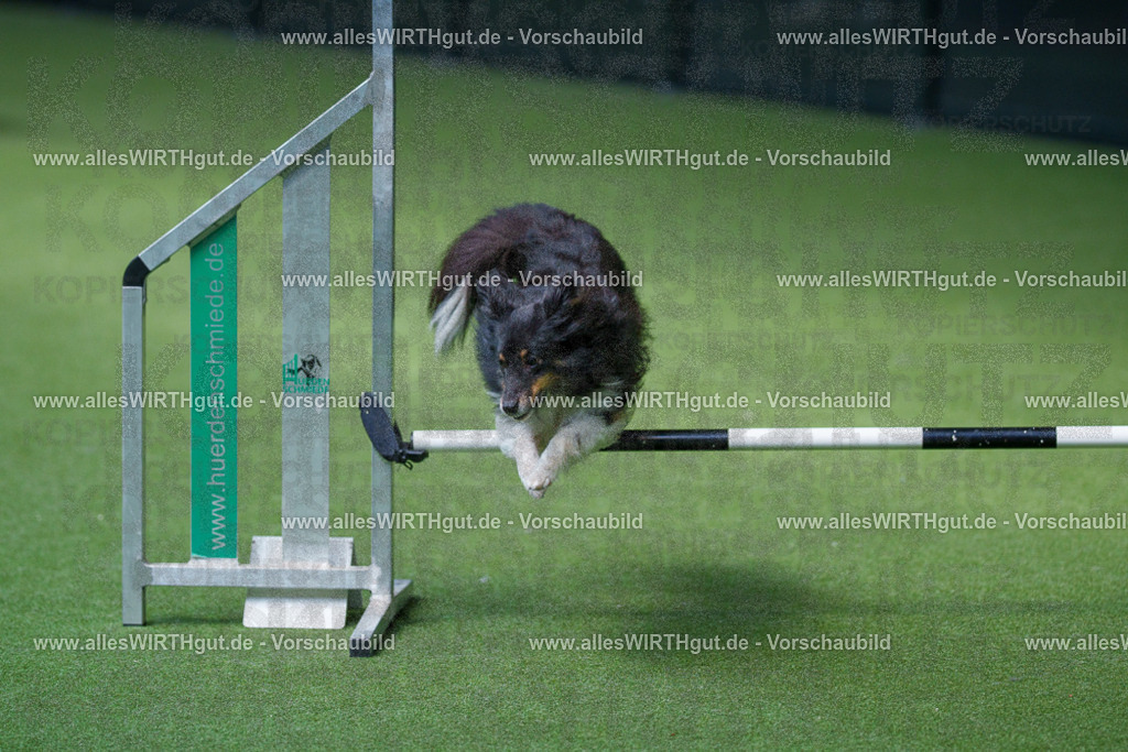 @allesWIRTHgut_Tierfotografie - www.allesWIRTHgut.de - 2604251404-7R504652 | Professionelle Tierfotografie in Mönchengladbach von Daniel Wirth (allesWIRTHgut). Liebevolle & natürliche Bilder von Hunden & Katzen für unvergessliche Erinnerungen.