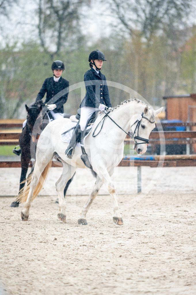 DSC_5260 | sattelsport - Realisiert mit Pictrs.com