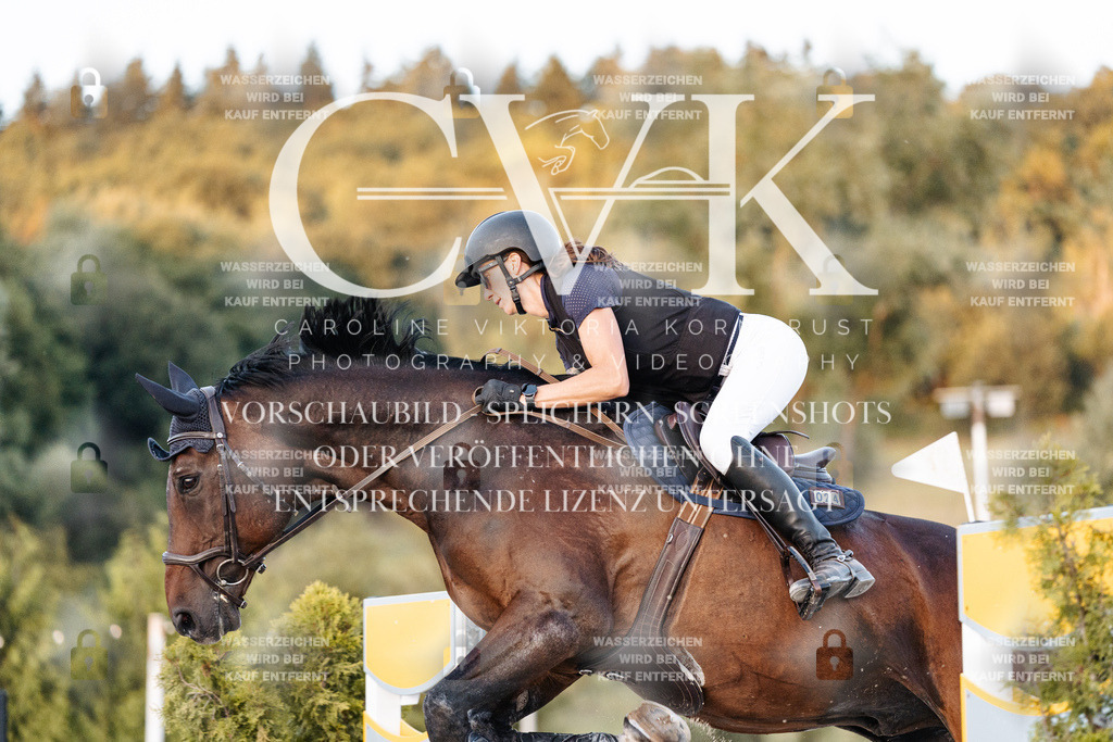 CK901343 | Turnierfotografie Pferdefotografie Trier Rheinland-Pfalz Pferdesport Reitsport Tierfotografie Sportfotografie Pferdevideo Pferdevideografie Equestrianvideography equestrianphotography  - Realisiert mit Pictrs.com