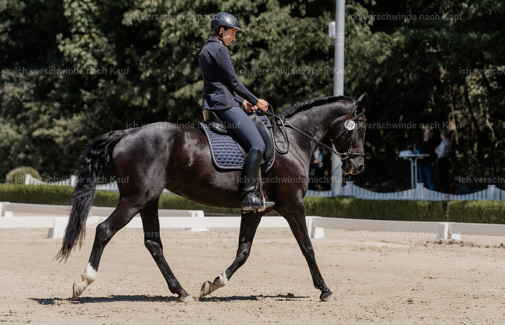 WE_DR_144_SinaFilmArt_IN03264 | working equitationturnier fotograf videograf stoibphotography marixx film working equitation deutschland reitsport turnierfotografie eventfotografie equestrian events